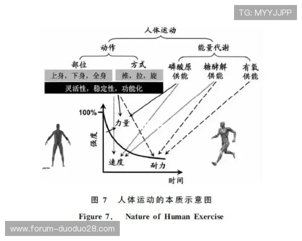 运动表现深度解码：基于技术数据的竞技提升策略研究