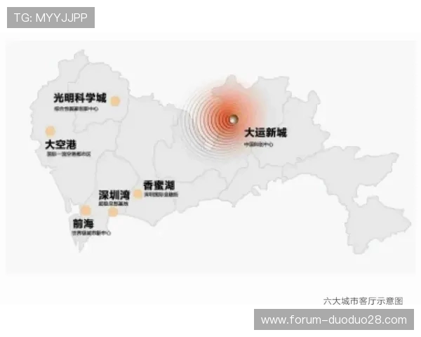 里昂三角洲区域发展现状与未来城市规划战略分析